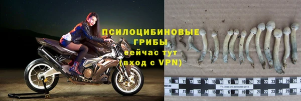 амф Заволжск