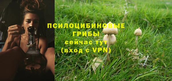 крисы Заводоуковск