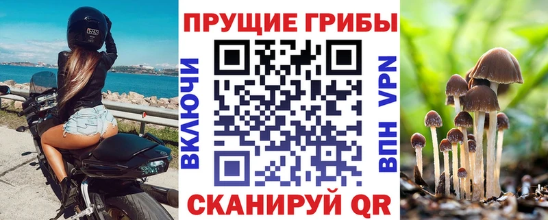 Купить где Ревда Галлюциногенные грибы MAGIC MUSHROOMS